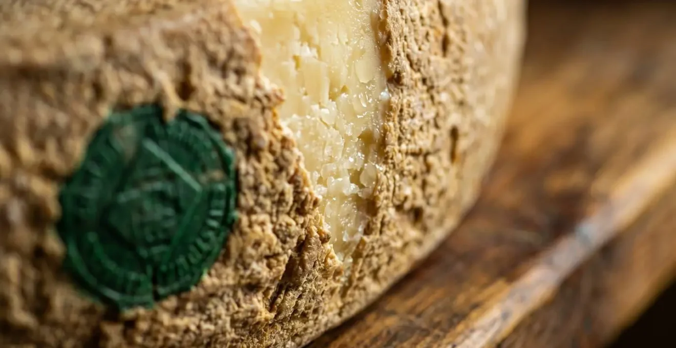 Macro detail of a Comté cheese wheel edge showing the embossed casein identification plaque with production date marking
